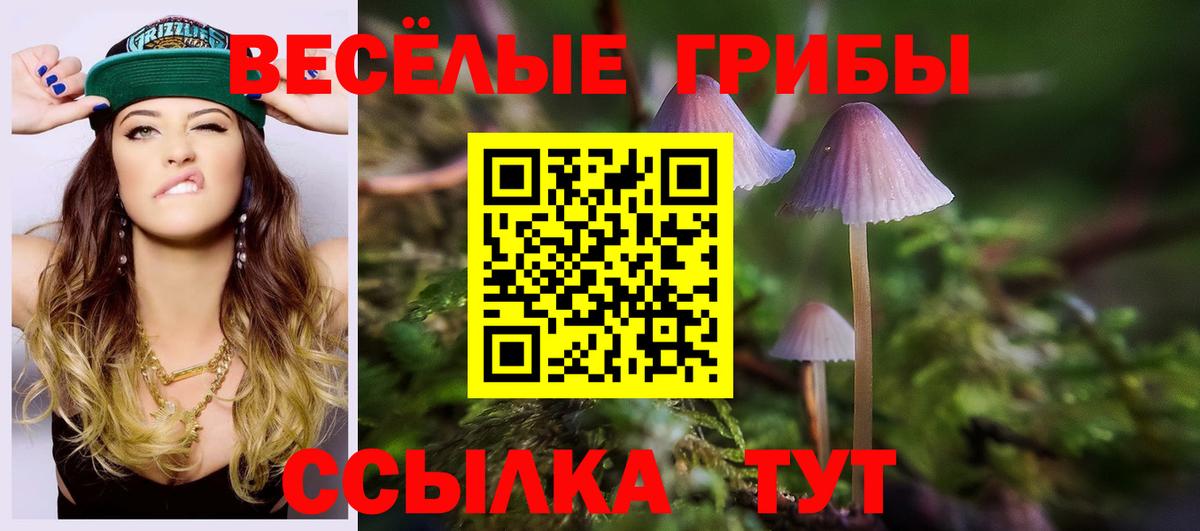 Псилоцибиновые грибы мухоморы Россошь